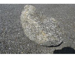 Solitärfindlinge für Gärten,Gestaltungsstein,Solitärfindlinge für Gärten - Findling 890