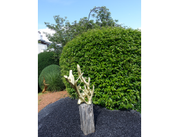 Holzskulpturen,Kunst mit Holz,Schwemmholz - Findling 1234
