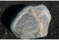 Findling 837 - Solitärfindlinge für Gärten,Gestaltungsstein,Solitärfindlinge für Gärten
