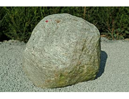 Solitärfindlinge für Gärten - Findling 106