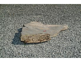 Gestaltungsstein,Solitärfindlinge für Gärten - Findling 178