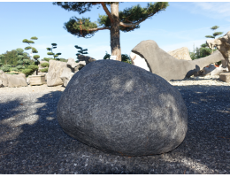 Solitärfindlinge für Gärten - Findling 1209