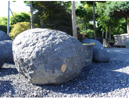 Solitärfindlinge für Gärten - Findling 1216