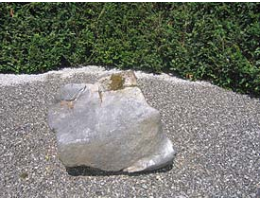 Solitärfindlinge für Gärten,Gestaltungsstein - Findling 435