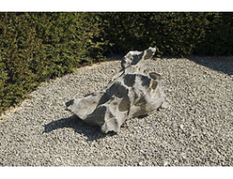 Solitärfindlinge für Gärten,Gestaltungsstein - Findling 651