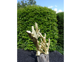Holzskulpturen,Kunst mit Holz,Schwemmholz - Findling 1234