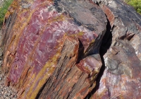 versteinertes_holz_2.jpg
