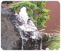 Impressionen von Wasserfindlingen